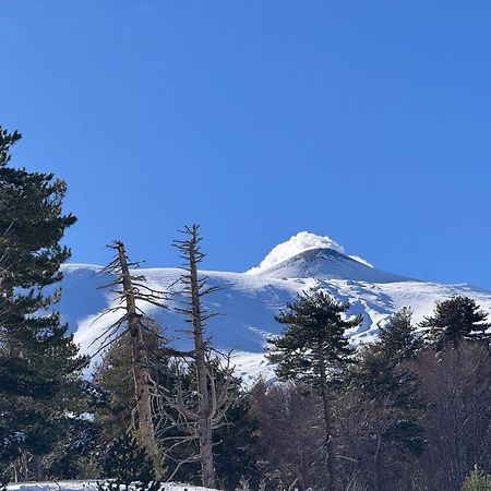 Agriturismo Sole Di Sicilia Randazzo Eksteriør billede