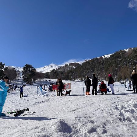 Agriturismo Sole Di Sicilia Randazzo Eksteriør billede