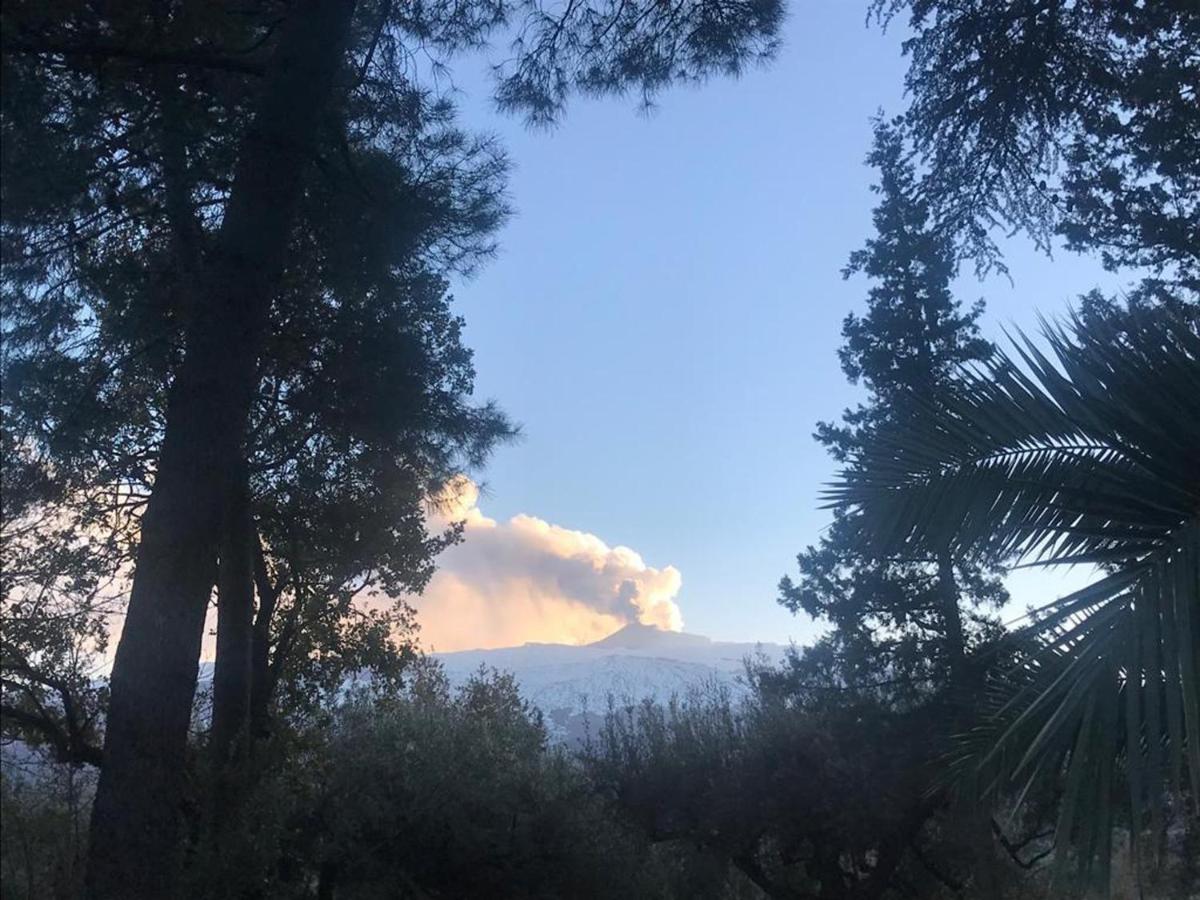 Agriturismo Sole Di Sicilia Randazzo Eksteriør billede