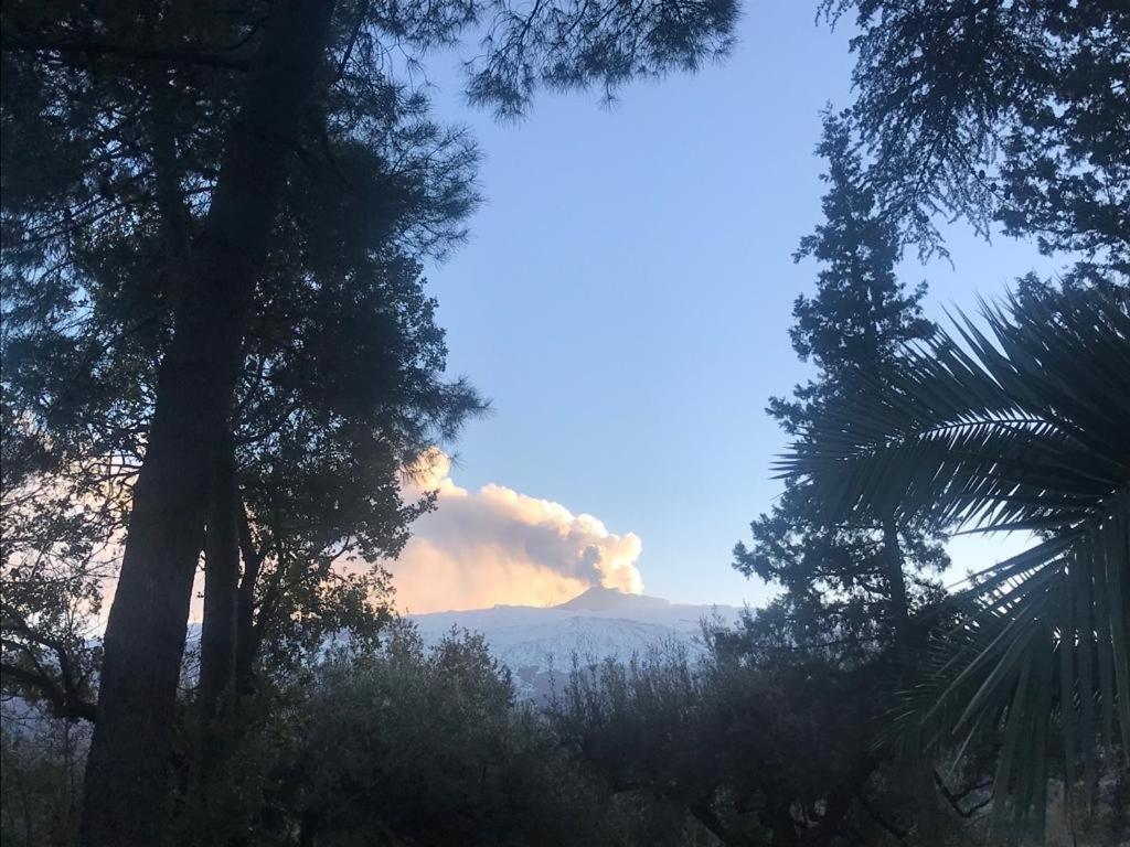 Agriturismo Sole Di Sicilia Randazzo Eksteriør billede