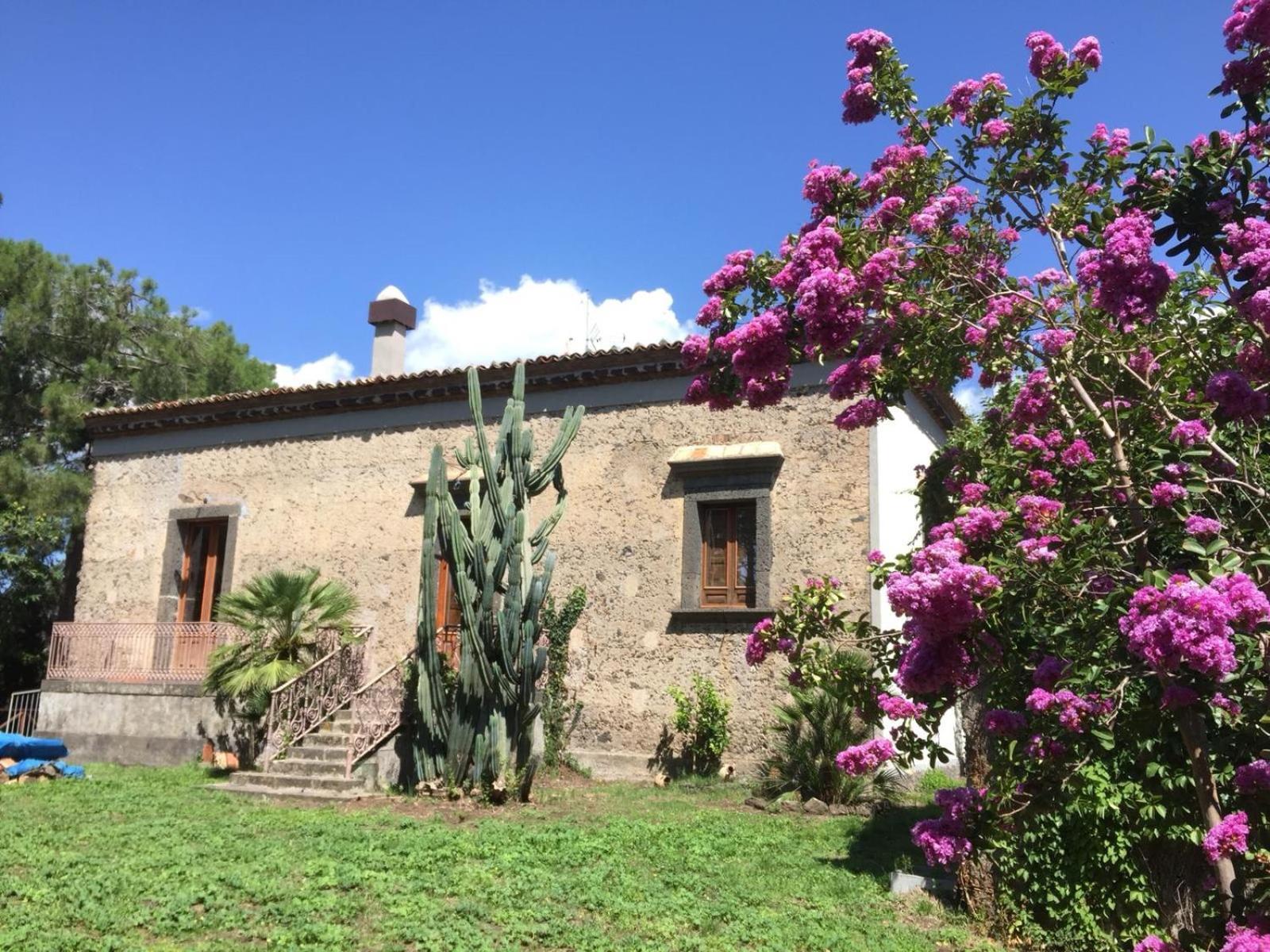Agriturismo Sole Di Sicilia Randazzo Eksteriør billede