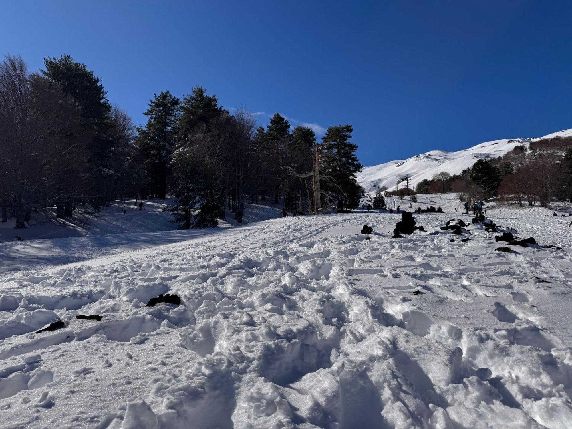 Agriturismo Sole Di Sicilia Randazzo Eksteriør billede