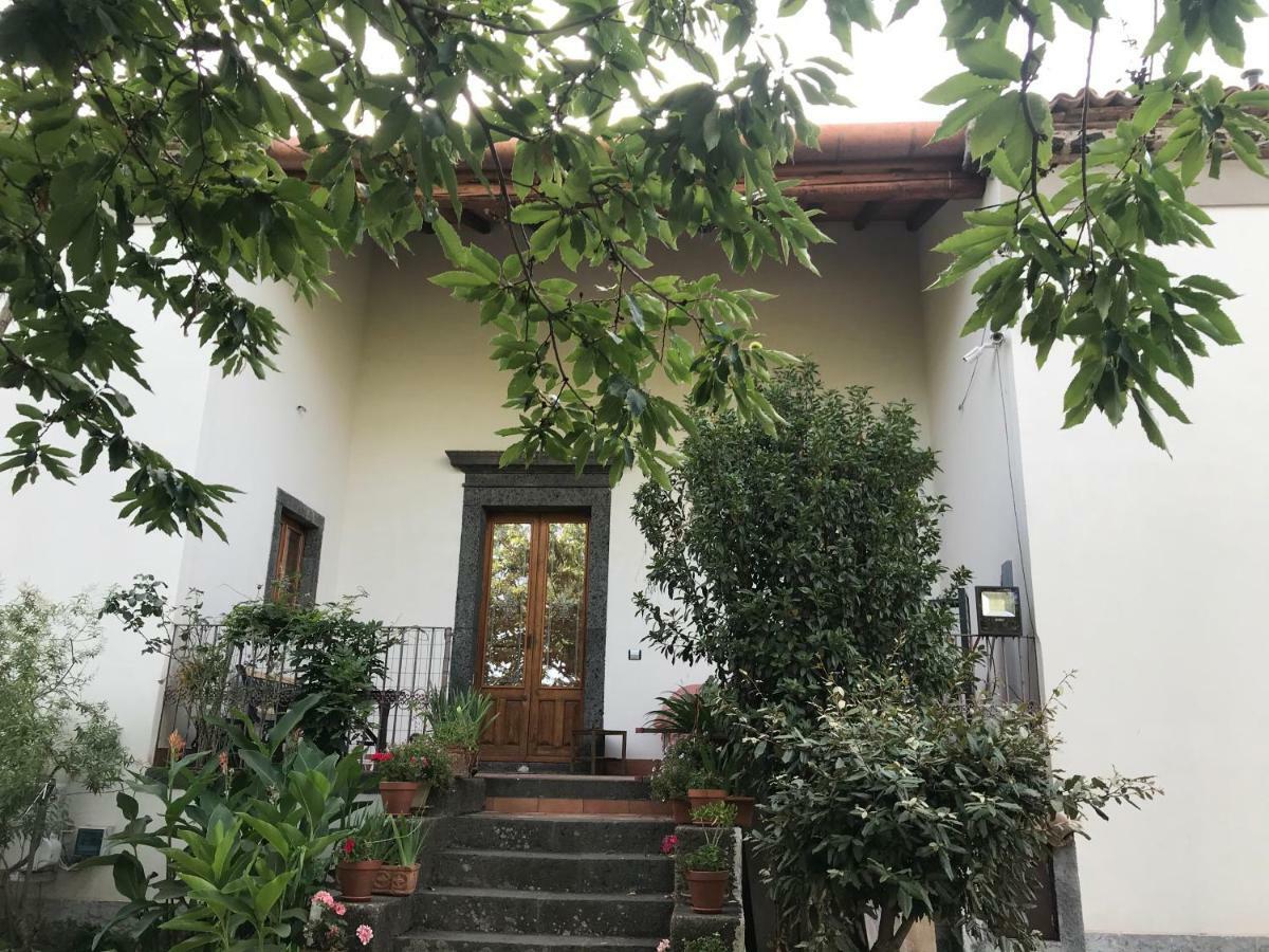Agriturismo Sole Di Sicilia Randazzo Eksteriør billede