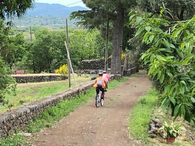 Agriturismo Sole Di Sicilia Randazzo Eksteriør billede
